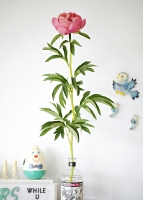 http://nataliejeffcott.com/files/dimgs/thumb_0x200_2_15_299.jpg